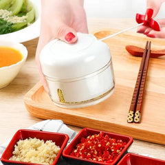 Mini Hand Chopper-Manual Food Chopper Meat Grinder Mincer Garlic Press for Vegetable Nuts Pepper