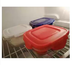Pack of 3-Lock n Lock Airtight Food Fresh Plastic Food Storage Container for Kitchen
