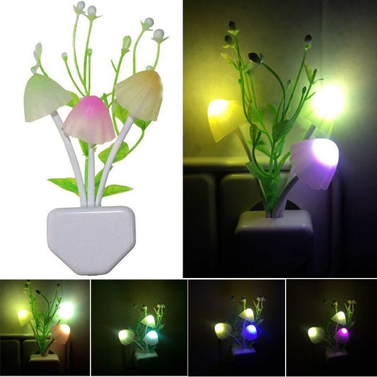 Electronic Mushroom's with Flower Night Lamp